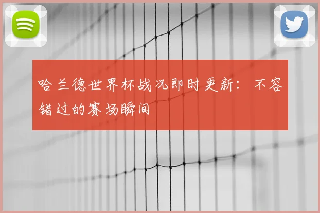 哈兰德世界杯战况即时更新:不容错过的赛场瞬间