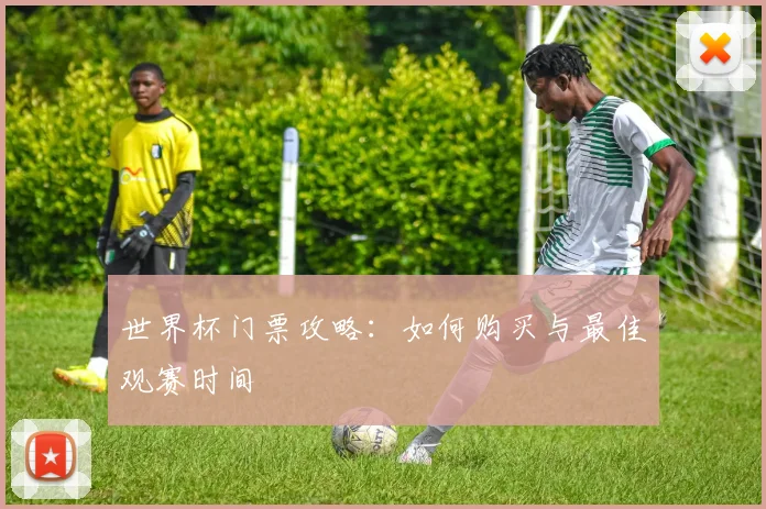 世界杯门票攻略:如何购买与最佳观赛时间